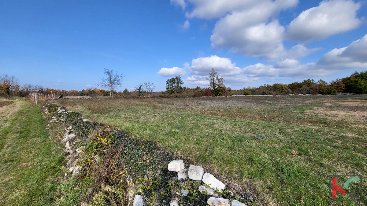 Istria - Svetvincenat, terreno 5700m2 in una posizione tranquilla